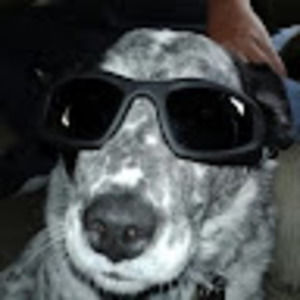 Meet your Posher, Heidi